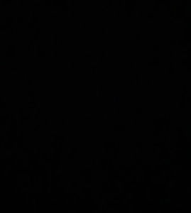 Meet your Posher, Armando